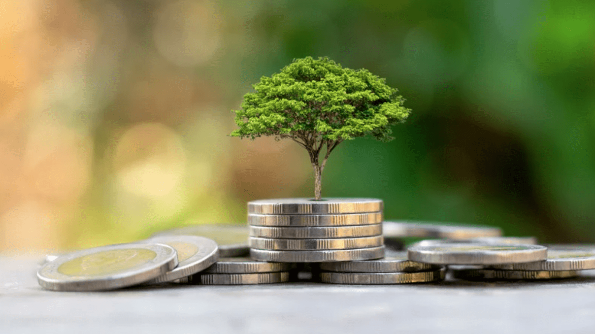 A tree growing on a pile of coins to represent the financial concept of ESG investing.